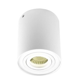 DL18613/01WW- R White DONOLUX Потолочный светильник