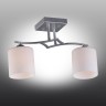 OML-55307-02 OMNILUX Pisticci потолочный светильник, серебро, E27*2*60W