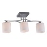 OML-55307-03 OMNILUX Pisticci потолочный светильник, серебро, E27*3*60W