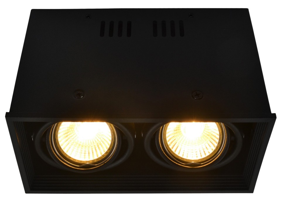 A5942PL-2BK Arte Lamp Потолочный светильник Cardani