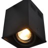 A5942PL-1BK Arte Lamp Потолочный светильник Cardani