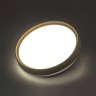 7603/DL SONEX PALE Влагозащищенный светодиодный настенно-потолочный светильник WOODI, 48W, IP43, с пультом 3000-6000K, 3400Lm, 40см диаметр