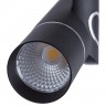 A2514PL-1BK Arte Lamp Потолочный светильник ORION
