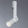 A2514PL-1WH Arte Lamp Потолочный светильник ORION