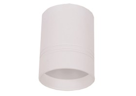 DL18481/WW-White R DONOLUX Потолочный светильник