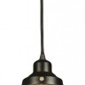 CL450206 Citilux Подвесной светильник Эдисон