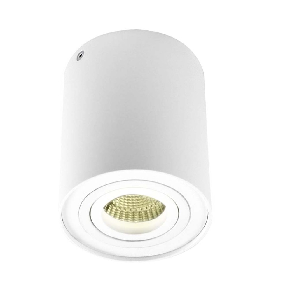 DL18613/01WW- R White DONOLUX Потолочный светильник