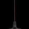 T023-01-R Maytoni Светильник подвесной Campane