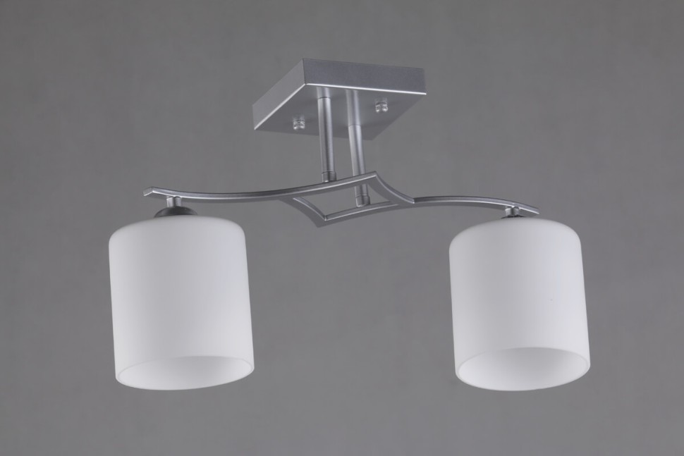 OML-55307-02 OMNILUX Pisticci потолочный светильник, серебро, E27*2*60W