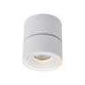 DL18617/01WW-R White DIM DONOLUX Потолочный светильник