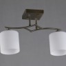 OML-55317-02 OMNILUX Pisticci потолочный светильник, бронза, E27*2*60W