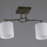 OML-55317-02 OMNILUX Pisticci потолочный светильник, бронза, E27*2*60W