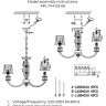 APL.744.03.06 APLOYT потолочная-подвесная люстра Zhaklin, E14*6*40W