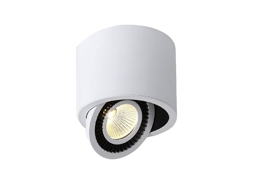 DL18700/11WW-White Dim DONOLUX Потолочный светильник