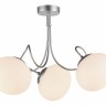 SL717.502.03 ST-Luce Потолочная люстра Acini