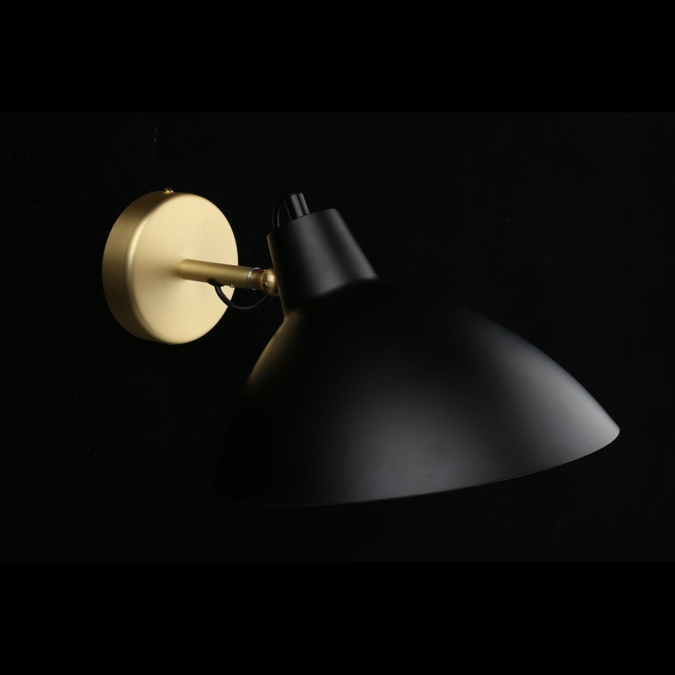 APL.632.01.01 APLOYT настенный светильник Klarka, черный, матовое золото
