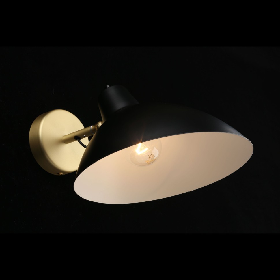 APL.632.01.01 APLOYT настенный светильник Klarka, черный, матовое золото