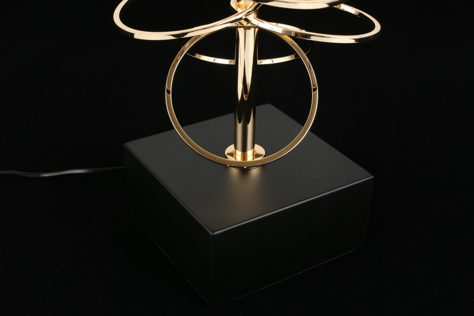 APL.742.05.01 APLOYT черный торшер Ivona