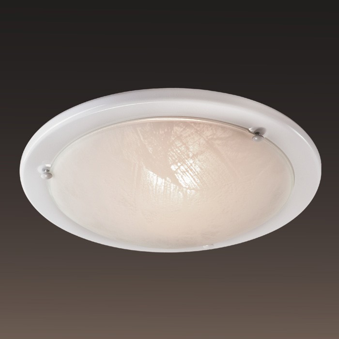 220 Sonex Настенно - потолочный светильник