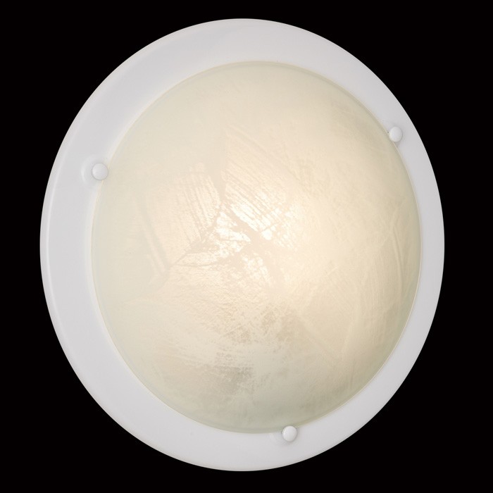 220 Sonex Настенно - потолочный светильник