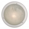 220 Sonex Настенно - потолочный светильник