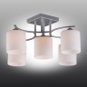OML-55307-05 OMNILUX Pisticci потолочная люстра, серебро, E27*5*60W