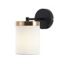 A4099AP-1BK ARTE LAMP Бра Modello