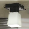 LSC-2507-01 Lussole Потолочный светильник Lente
