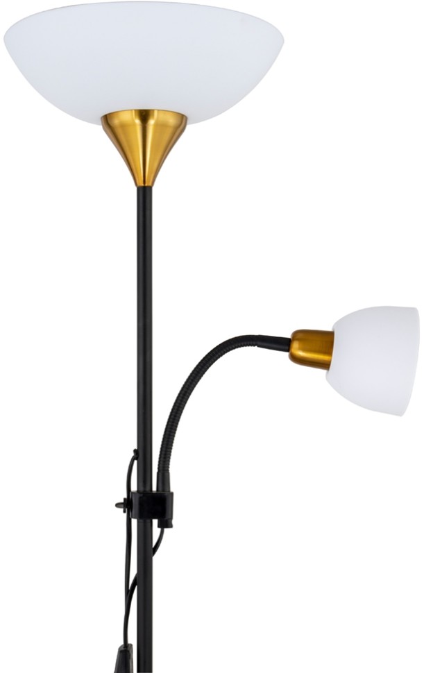 A9569PN-2BK Arte Lamp Торшер DUETTO, черный с золотом, 176см, диаметр 30см