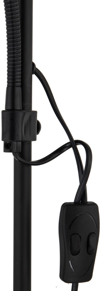 A9569PN-2BK Arte Lamp Торшер DUETTO, черный с золотом, 176см, диаметр 30см