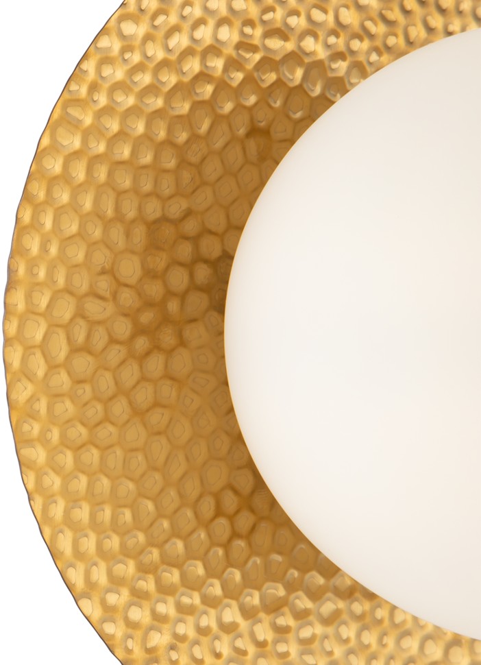 FR5202WL-01BS FREYA настенный светильник Camelia