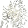 APL.847.11.03 APLOYT Хрустальное бра Gertunia, G9*3*5W, хром, ветки, листья