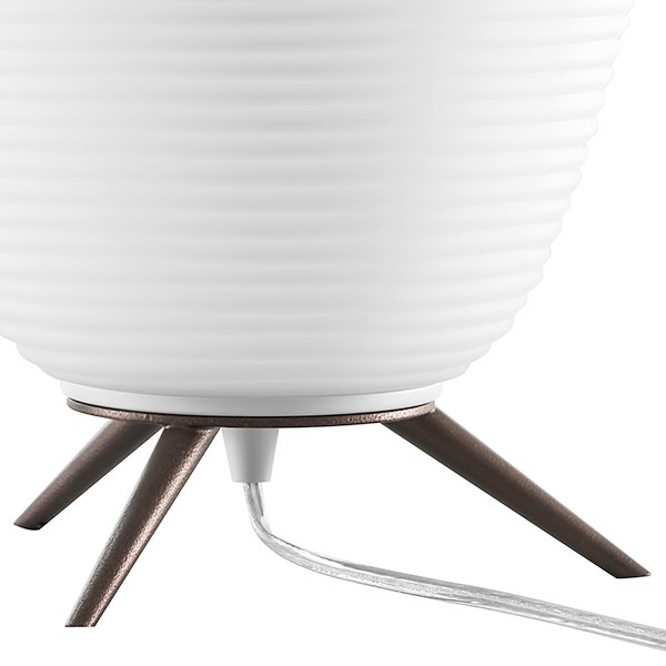 805912 Lightstar Настольная лампа ARNIA