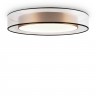 FR6005CL-L48G Freya потолочный светодиодный светильник Zoticus