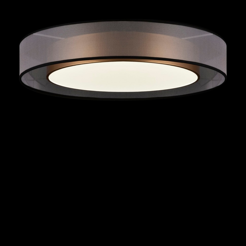 FR6005CL-L48G Freya потолочный светодиодный светильник Zoticus