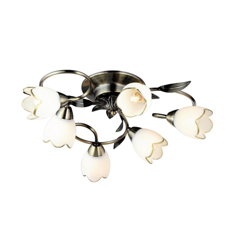 A6061PL-6AB Arte Lamp Потолочная люстра 4