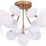 A1369PL-7SG ARTE LAMP потолочная люстра Peacock G9*7*40W, белый, золото