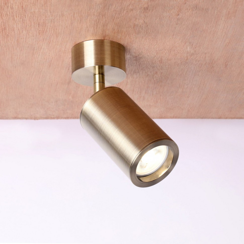 2801-1U  Favourite Спот Angularis 