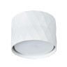 A5552PL-1WH ARTE LAMP белый накладной светильник Fang GX53