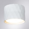 A5552PL-1WH ARTE LAMP белый накладной светильник Fang GX53