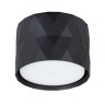 A5552PL-1BK ARTE LAMP черный накладной светильник Fang GX53