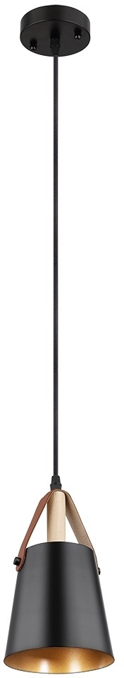 A7032SP-1BK Arte Lamp Thomas черный подвес