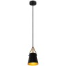 A7032SP-1BK Arte Lamp Thomas черный подвес