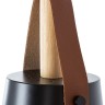 A7032SP-1BK Arte Lamp Thomas черный подвес