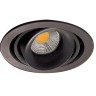 DL18615/01WW-R Shiny black/Black DONOLUX Встраиваемый светильник