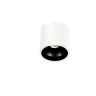 DL18416/11WW-R White/Black DONOLUX Потолочный светильник