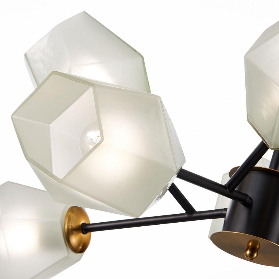 SLE205102-08 EVOLUCE потолочная люстра на штанге Terramo, E27*8*60W, черный и латунь