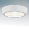 214902 Lightstar Накладной влагозащищенный LED светильник URBANO белый 10W, IP65, 3000K