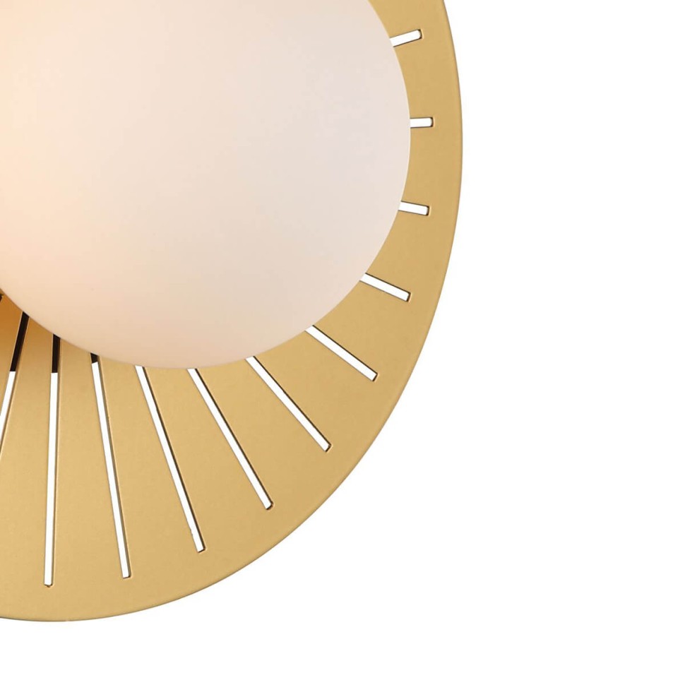 2356-1W FAVOURITE настенный светильник Sonnenblume, G9*1*25W