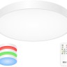 CL724105G0 Citilux Купер Потолочный светодиодный светильник RGB с пультом 105W, 60см
